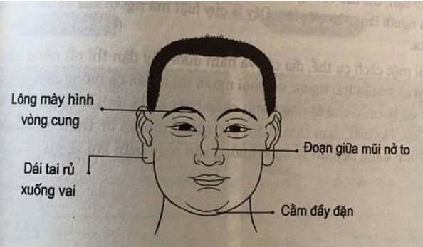 Các Trường Phái Nhân Tướng Học: Soi Rọi Nhân Duyên 2 Các trường phái nhân tướng học: Tổng quan, nguồn gốc và ý nghĩa