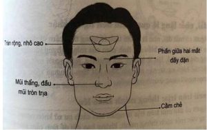 Ứng dụng các trường phái nhân tướng học trong đời sống hiện đại