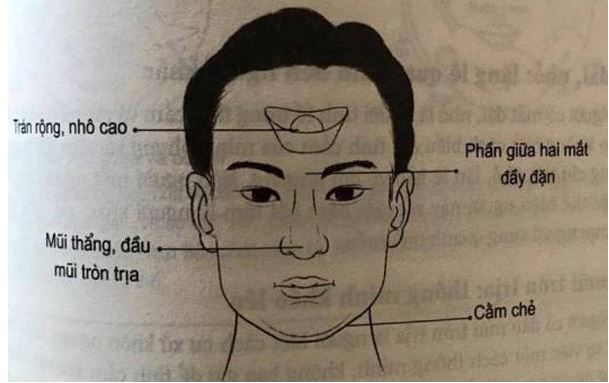 Ứng dụng các trường phái nhân tướng học trong đời sống hiện đại