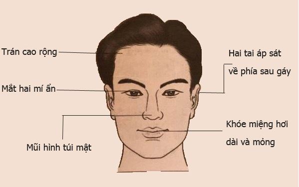 Các Trường Phái Nhân Tướng Học: Soi Rọi Nhân Duyên 3 Phân loại các trường phái nhân tướng học nổi bật hiện nay