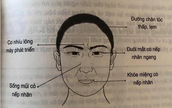Cách Nhận Biết Người Hướng Nội Qua Tướng: Tìm Hiểu Chi Tiết 3 Tại sao cần nhận biết người hướng nội qua tướng?