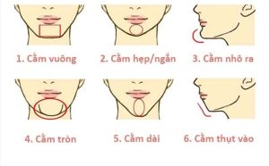 Cằm và vận số cuộc đời: Những bí mật không phải ai cũng biết