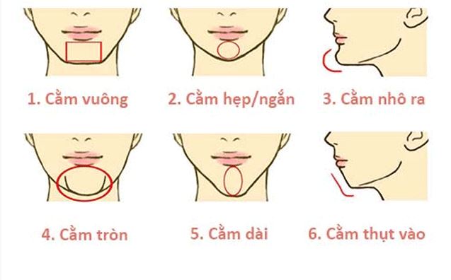 Cằm và vận số cuộc đời: Những bí mật không phải ai cũng biết