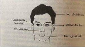 Ứng dụng đặc điểm khuôn mặt người hướng ngoại trong giao tiếp, công việc và cuộc sống