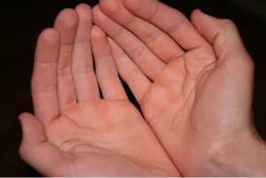 Cách giải mã đường sinh mệnh: Góc nhìn nhân tướng học truyền thống và hiện đại
