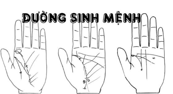 Đường sinh mệnh yếu trong chỉ tay có đáng lo không? Kinh nghiệm từ thực tế