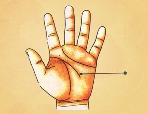 Đường trí tuệ thể hiện điều gì? Cách nhận biết và ý nghĩa từng kiểu