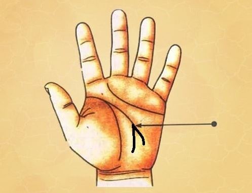 Đường Trí Tuệ Thể Hiện Điều Gì? Giải Mã Từng Khía Cạnh 3 Đường trí tuệ và sự nghiệp: Mối liên hệ bất ngờ dưới góc nhìn hiện đại