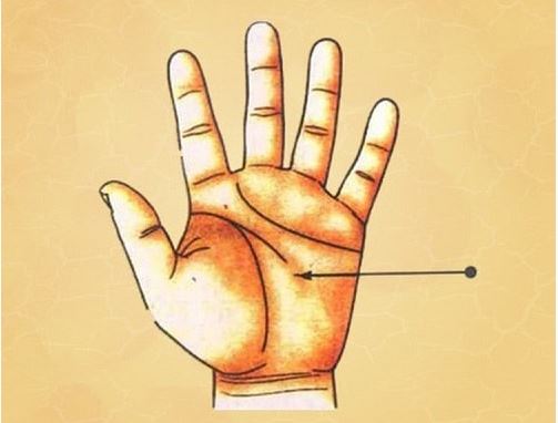 Đường Trí Tuệ Thể Hiện Điều Gì? Giải Mã Từng Khía Cạnh 4 Góc nhìn toàn diện: Đường trí tuệ và các khía cạnh tâm lý, sức khỏe