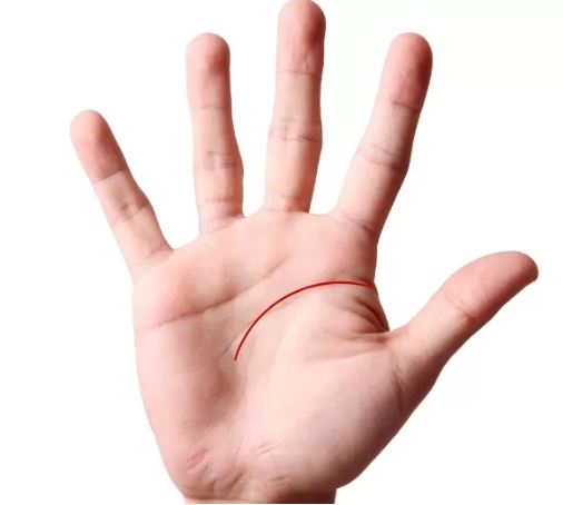 So Sánh Nhân Tướng Học Với Thuật Xem Chỉ Tay Phương Ấn 4 Phân tích tính chính xác, giới hạn và ứng dụng thực tế của từng phương pháp