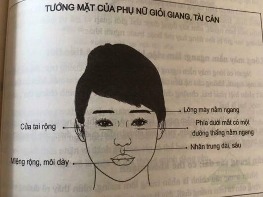 Khoa Học Nói Gì Về Nhân Tướng Học: Tìm Hiểu Chi Tiết Nhất 4 Ứng dụng, cảnh báo và tương lai của nhân tướng học trong xã hội hiện đại