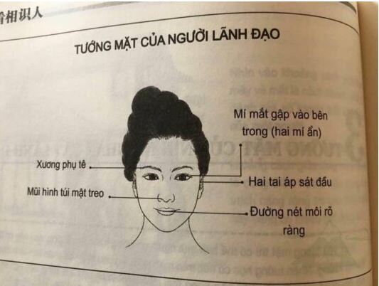 Khoa Học Nói Gì Về Nhân Tướng Học: Tìm Hiểu Chi Tiết Nhất 3 Cơ sở lý thuyết của nhân tướng học: Khoa học, huyền bí hay nghệ thuật tâm lý?