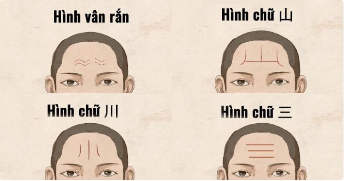 Lịch Sử Phát Triển Nhân Tướng Học: Giải Mã Lịch Sử Chi Tiết 3 Trường phái phương Đông: Nhân tướng học Trung Hoa, Nhật Bản, Việt Nam