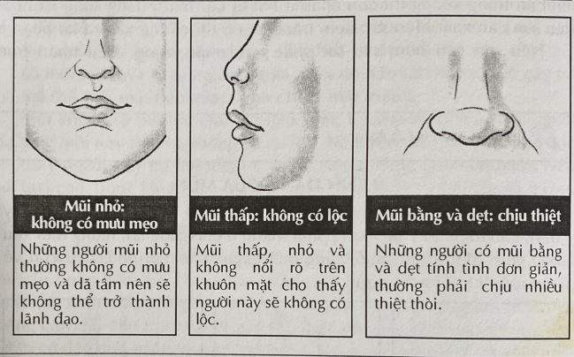 Lịch Sử Phát Triển Nhân Tướng Học: Giải Mã Lịch Sử Chi Tiết 4 Những tranh cãi, lầm tưởng và góc nhìn phê phán về nhân tướng học