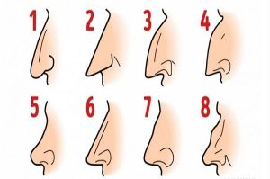 Mũi nói lên điều gì về vận mệnh: Góc nhìn tổng quan
