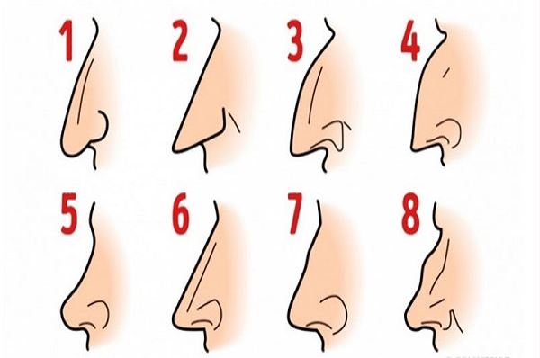 Mũi nói lên điều gì về vận mệnh: Góc nhìn tổng quan