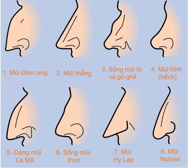Mũi Nói Lên Điều Gì Về Vận Mệnh: Giải Mã Tướng Mũi Chi Tiết 4 Cách nhận diện tướng mũi giàu sang, nghèo hèn