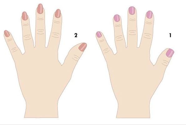 Ngón Tay Dài Ngắn Nói Lên Điều Gì? Giải Mã Ý Nghĩa Chi Tiết 2 Ngón tay dài ngắn nói lên điều gì? Giải mã nhân tướng học bàn tay