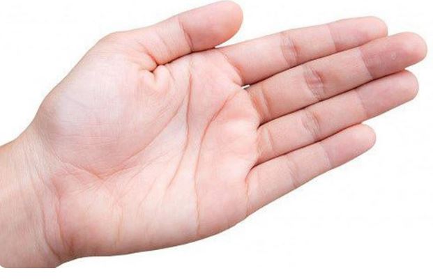 Ngón Tay Dài Ngắn Nói Lên Điều Gì? Giải Mã Ý Nghĩa Chi Tiết 4 Ứng dụng thực tế của việc xem ngón tay dài ngắn trong đời sống