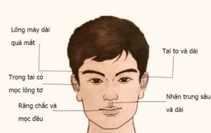 Nguyên lý cơ bản của nhân tướng học là gì?