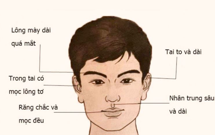Nguyên lý cơ bản của nhân tướng học là gì?