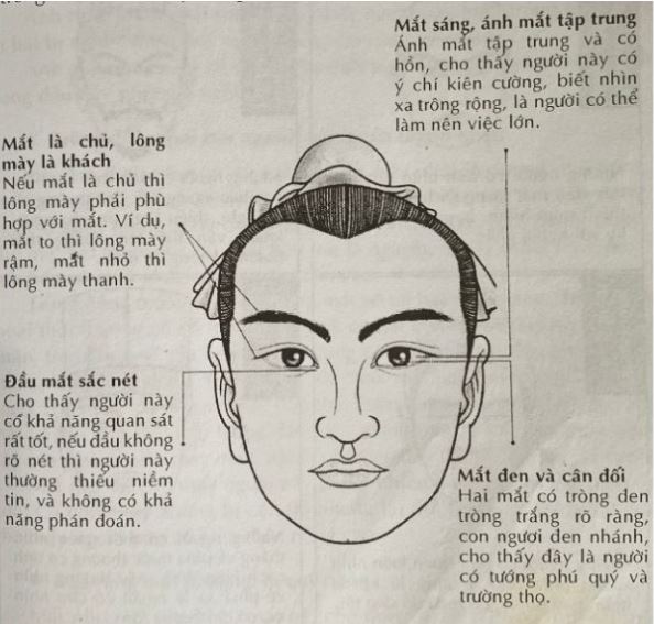 Nguyên Lý Cơ Bản Của Nhân Tướng Học: Tìm Hiểu Chi Tiết 4 Những sai lầm phổ biến & cách tự xem tướng an toàn