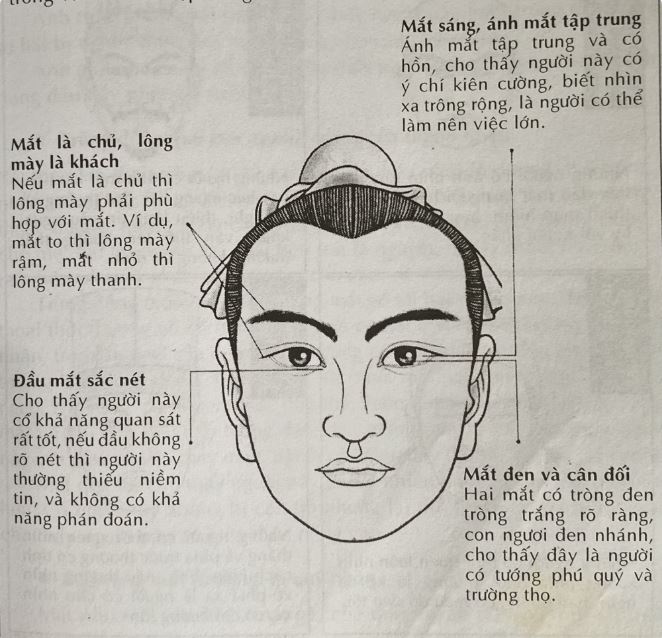 Nhận Diện Người Thật Thà Qua Tướng Mạo: Cách Nhìn Rõ Nét 4 Các yếu tố tác động đến tướng mạo người thật thà: Di truyền, môi trường và trải nghiệm
