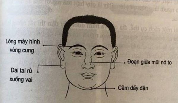 Nhân tướng học trong chọn bạn đời: Nền tảng, lợi ích và tranh luận