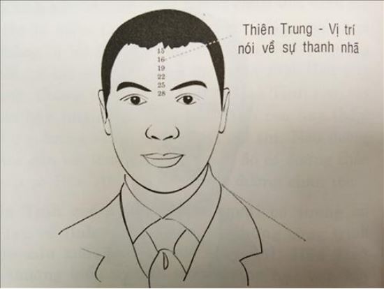 Nhân Tướng Học Phương Đông Vs Phương Tây: So Sánh Chi Tiết 3 Các yếu tố quyết định trong nhân tướng học: Điểm chung và khác biệt