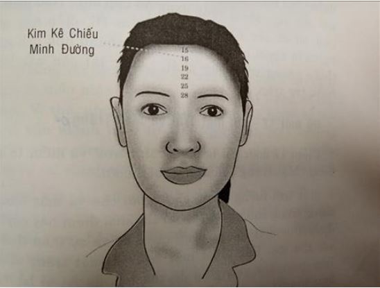 Nhân Tướng Học Phương Đông Vs Phương Tây: So Sánh Chi Tiết 4 Những tranh cãi, giới hạn và cách nhìn hiện đại về nhân tướng học