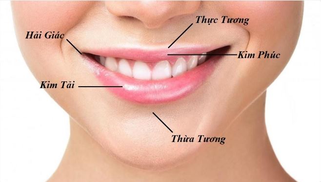 Những Lầm Tưởng Về Nhân Tướng Học: Sự Thật Bạn Cần Biết 2 Những lầm tưởng về nhân tướng học phổ biến nhất hiện nay