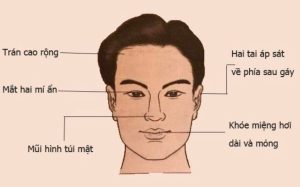 Tướng mặt người giàu sang là gì? Dấu hiệu nhận biết chuẩn xác nhất