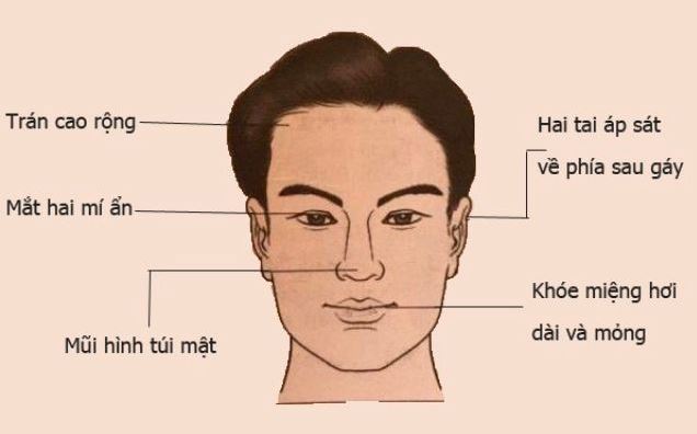 Tướng mặt người giàu sang là gì? Dấu hiệu nhận biết chuẩn xác nhất