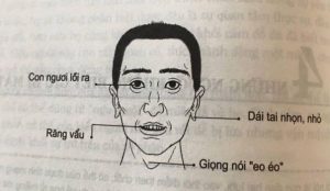 Những yếu tố tạo nên tướng người lãnh đạo bẩm sinh: Bản năng hay rèn luyện?