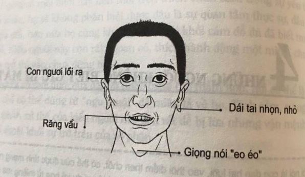 Những yếu tố tạo nên tướng người lãnh đạo bẩm sinh: Bản năng hay rèn luyện?