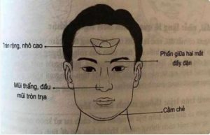 Nguyên nhân hình thành tướng người nóng tính dưới góc nhìn nhân tướng học và tâm lý