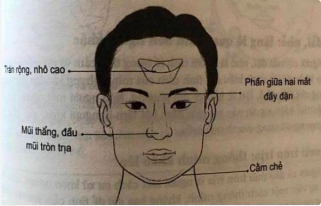 Nguyên nhân hình thành tướng người nóng tính dưới góc nhìn nhân tướng học và tâm lý