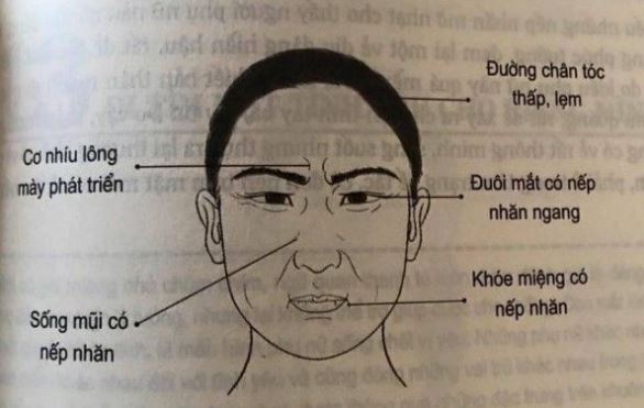 Mối Liên Hệ Giữa Nhân Tướng Học Và Nhân Tĩnh Học 2025 3 Ý nghĩa của nhân tướng học và nhân tĩnh học trong phát triển bản thân