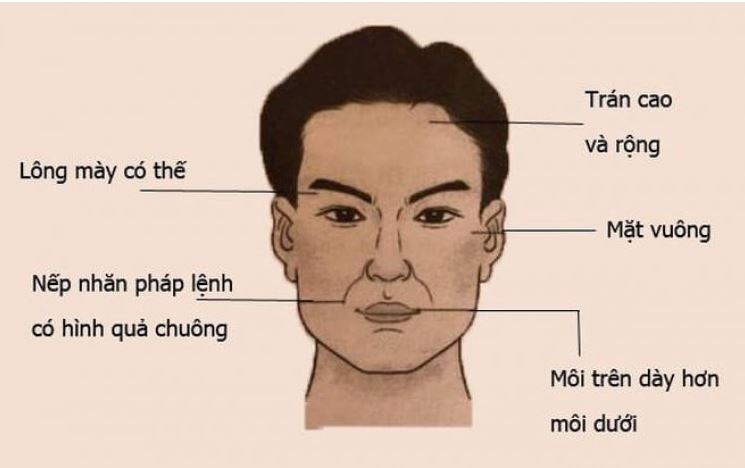 Tướng mặt người tham vọng là gì? Nhận diện qua các dấu hiệu nổi bật