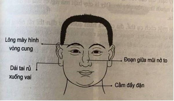 Mối Liên Hệ Giữa Nhân Tướng Học Và Nhân Tĩnh Học 2025 4 Ứng dụng: Làm sao vận dụng cả hai để thành công?