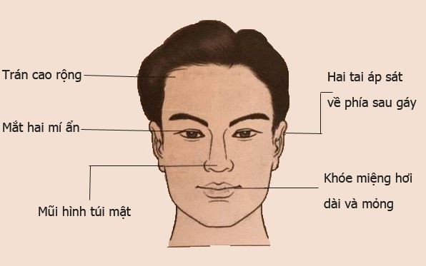 Tướng Mặt Người Tham Vọng: Nhận Diện Và Phân Tích 4 Những bối cảnh thực tế cần nhận diện tướng mặt người tham vọng