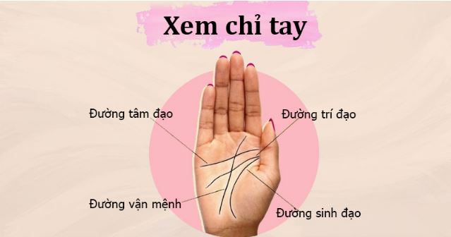 Xem Chỉ Tay Cơ Bản: Hiểu Đúng Nghệ Thuật Đoán Vận Mệnh 2 Xem chỉ tay cơ bản là gì? Ý nghĩa và cách xác định tay thuận