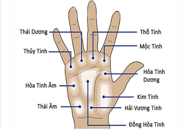 Xem Chỉ Tay Cơ Bản: Hiểu Đúng Nghệ Thuật Đoán Vận Mệnh 4 4 góc nhìn quan trọng khi tự xem chỉ tay cơ bản