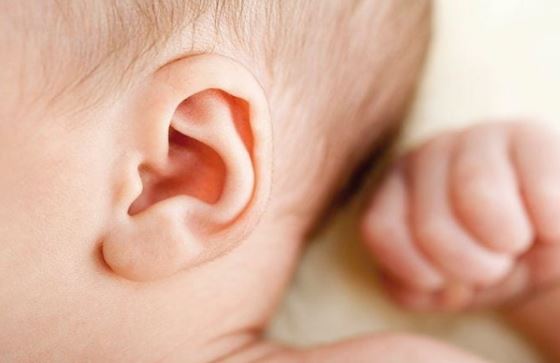 Xem Tai Đoán Bệnh Tật: Bí Quyết Hiểu Sức Khỏe Qua Tai 3 Quy trình tự xem tai đoán bệnh tật tại nhà: 5 bước dễ thực hiện
