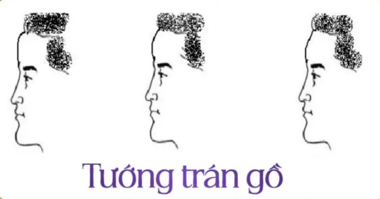 Ý Nghĩa Trán Trong Nhân Tướng Học: Giải Mã Vận Mệnh 2 Ý nghĩa trán trong nhân tướng học: Tổng quan và nguồn gốc