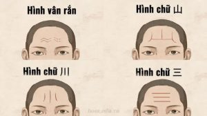 Các yếu tố ảnh hưởng đến ý nghĩa trán trong nhân tướng học