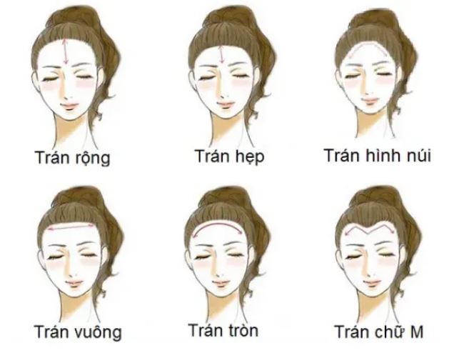 Ý Nghĩa Trán Trong Nhân Tướng Học: Giải Mã Vận Mệnh 4 Ứng dụng ý nghĩa trán trong nhân tướng học vào thực tế