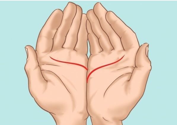 Đường Tình Duyên & Các Đường Chỉ Tay Khác: Bức Tranh Đa Chiều Về Vận Mệnh