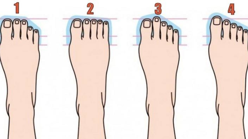 Phân loại hình dáng ngón chân phổ biến và ý nghĩa từng loại