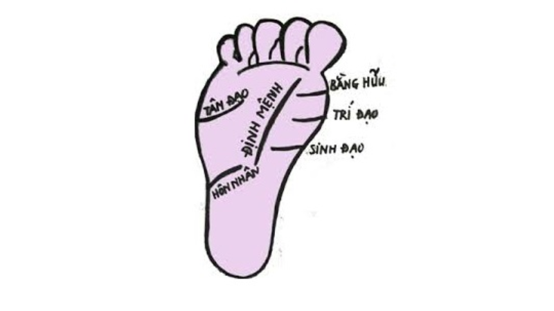 Đường Chỉ Chân Nói Gì Về Cuộc Đời: Giải Mã Ý Nghĩa 3 Giải mã từng loại đường chỉ chân và tác động đến vận mệnh